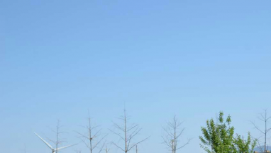 羞羞网站在线免费观看国际家居:把爱与温暖送到智障孩子心中 